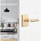 Sure-Loc Hardware Sure-Loc Hardware Levanto Privacy Rosette, Satin Brass, Smooth Grip in Satin Brass LV102 SB GRIP-SM SB - alternate 2